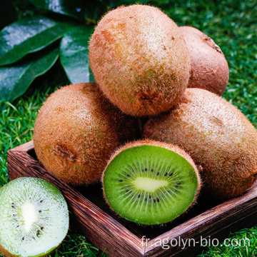 2021 coeur vert kiwi fruit en stock